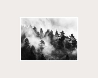 Misty Pine Forest Landscape Photography: Black and White Wall Art (Digital Download)