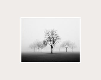Minimalistyczne drzewa – fotografia artystyczna: czarno-biała dekoracja ścienna (pobranie cyfrowe)