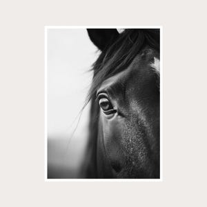 Fotografía artística de primer plano de ojos de caballo: decoración de pared en blanco y negro (descarga digital)