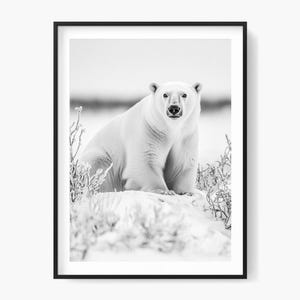 Polar bear in snowy winter captured in black and white. Downloadable fine art photo for minimalist wall decor and wildlife & nature lovers.