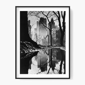 Puede incluir: Fotografía enmarcada en blanco y negro de una escena urbana. La imagen captura el reflejo de edificios y árboles en un charco. La composición incluye árboles desnudos, un primer plano oscuro y un paisaje urbano al fondo.