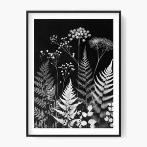 Op de afbeelding: Zwart-wit botanische print met gedetailleerde illustraties van verschillende varens en wilde bloemen. Het kunstwerk is ingelijst in een zwart frame, wat een opvallend contrast creëert. Het monochrome kleurenschema benadrukt de ingewikkelde details van de planten.