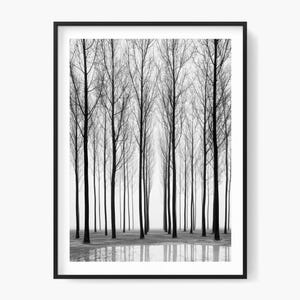 Impression forêt brumeuse : paysage minimaliste en noir et blanc (téléchargement numérique)