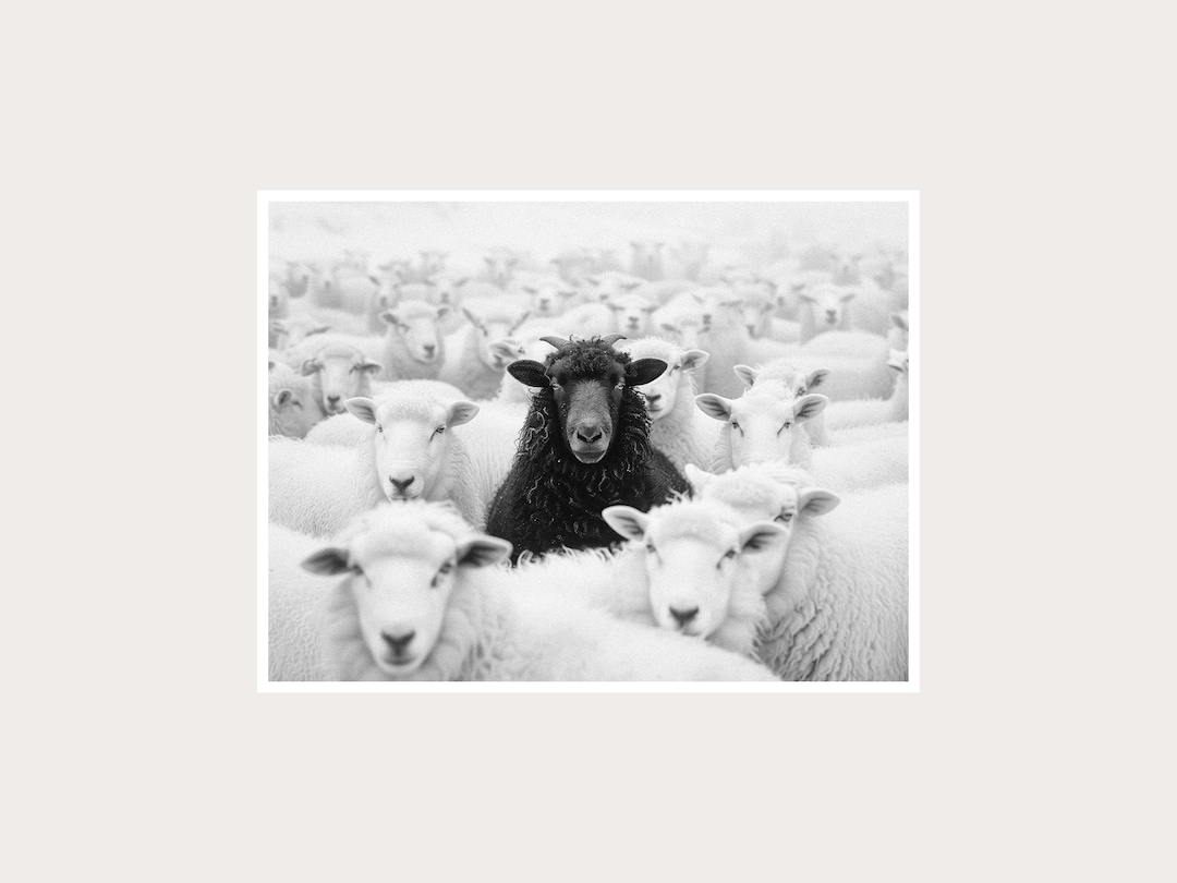 Black Sheep Fine Art Photography: Black White Wall Decor (digital