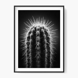 Impression de photographie d'art cactus hérissé : décoration noir et blanc (téléchargement numérique)