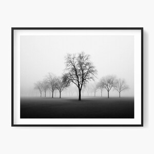 Photo de forêt brumeuse : impression d&#39;arbre minimaliste en noir et blanc (téléchargement numérique)