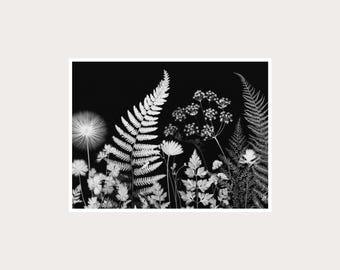 Dark Botanical Fine Art Photography: Black White Wall Decor (Digital Download)
