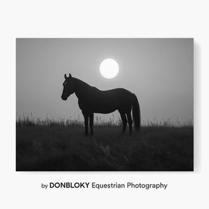 La silueta de un caballo se recorta contra un sol resplandeciente, capturando un momento ecuestre sereno. Arte imprimible. Póster fotográfico descargable.