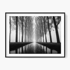 Tree-Lined Canal Reflection Photo: Minimalist Landscape Art (Digital Download)