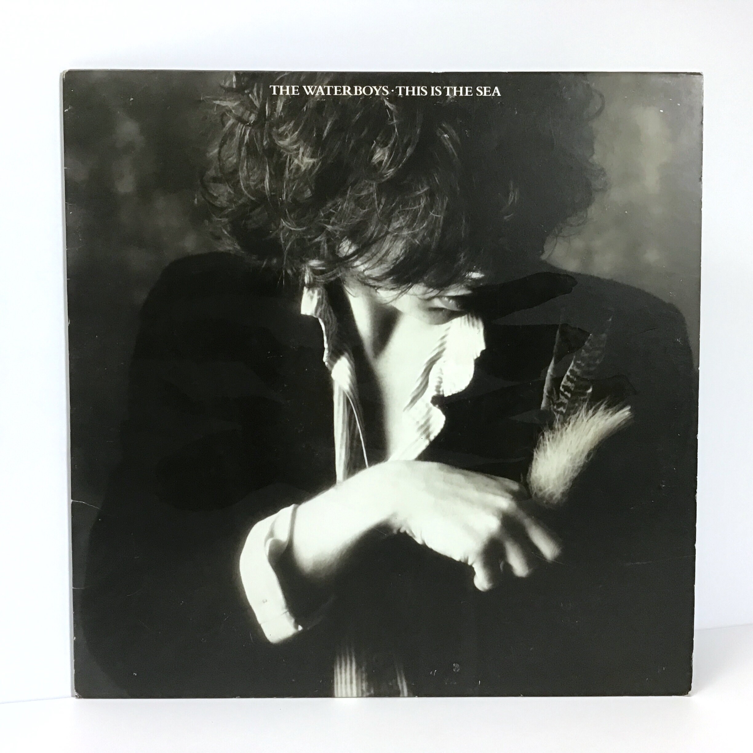 The Waterboys - This is the Sea - Vintage 1985 Vinyl LP Record