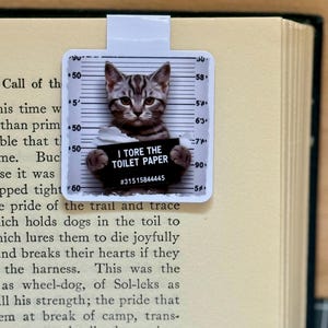 Cat Magnetic Bookmark, Funny Bookmarks, Cute Bookmark, Bookish Gift, Gift for a Co-Worker, Page Saver, Handmade, Magnetic Bookmarks, Kitty