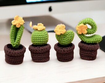 LOVE Crochet Cactus Plants, Cute Crochet Gifts, Plant Lover Gifts, Positive Crochet Flowers, Mothers Day Gifts, Gifts for Mom, Fake Cactus