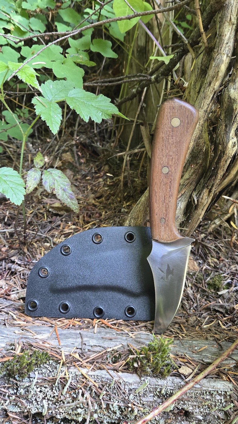 May include: A hunting knife with a wooden handle and a black sheath. The blade is silver and curved. The handle is brown with three rivets. The sheath has multiple eyelets. The knife is resting on a log in a natural setting.