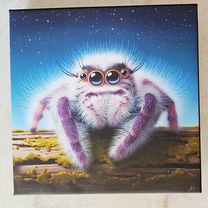 Lily the Jumping Spider