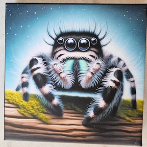 Max the Jumping Spider