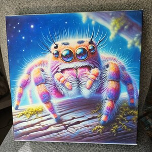 Lisa the Jumping Spider
