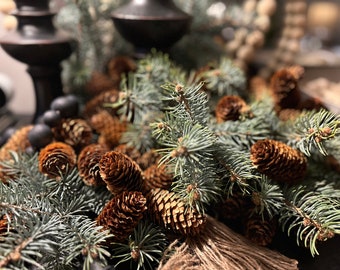 COLORADO BLUE SPRUCE Cones, Botanicals, Natural Crafts, Wreaths, Decor, Wild Harvested,  Wreaths, Pine Cone. Sold in quantities of 25.