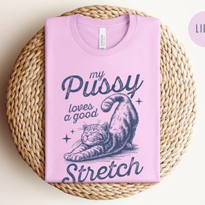 Raunchy Cat Shirt, Inappropriate Shirts for Women, Unhinged Tshirt, Embarrassing Offensive TShirts, Gen Z Meme Funny Gag Gift White Elephant image 7