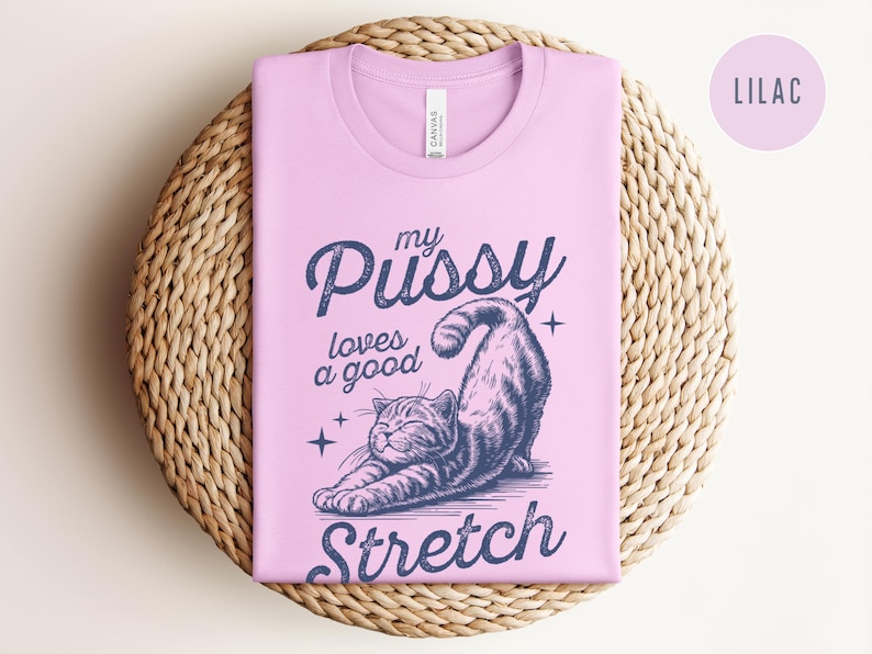 Raunchy Cat Shirt, Inappropriate Shirts for Women, Unhinged Tshirt, Embarrassing Offensive TShirts, Gen Z Meme Funny Gag Gift White Elephant image 7