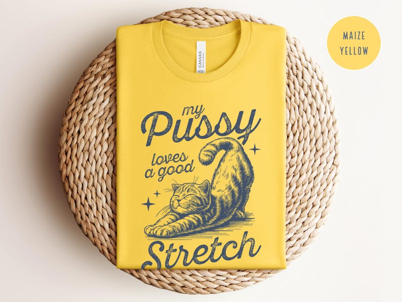 Raunchy Cat Shirt, Inappropriate Shirts for Women, Unhinged Tshirt, Embarrassing Offensive TShirts, Gen Z Meme Funny Gag Gift White Elephant image 6