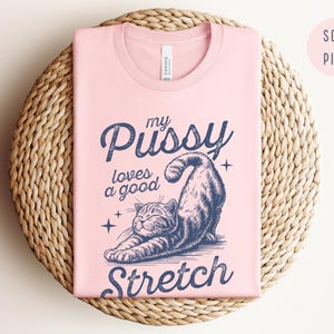 Raunchy Cat Shirt, Inappropriate Shirts for Women, Unhinged Tshirt, Embarrassing Offensive TShirts, Gen Z Meme Funny Gag Gift White Elephant image 5