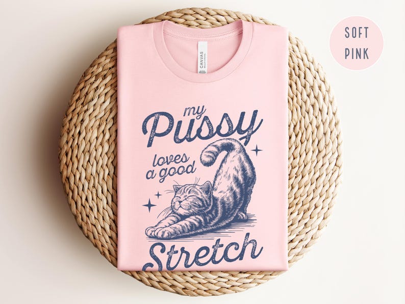 Raunchy Cat Shirt, Inappropriate Shirts for Women, Unhinged Tshirt, Embarrassing Offensive TShirts, Gen Z Meme Funny Gag Gift White Elephant image 5