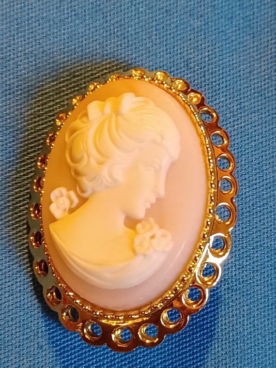 Cameo Brooch with Pink Background