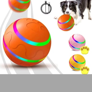 May include: Orange dog toy balls with LED lights in various colours. The balls have paw print designs and are shown with a black and white dog. A box and a USB charging cable are also visible. The text "LIMITED STOCK" is in the image.