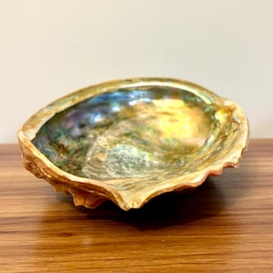 Vintage Red Abalone Shell Bowl: Iridescent Mother of Pearl Coastal Decor