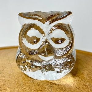 May include: A clear glass owl figurine with brown and white accents. The owl has large, round eyes and a detailed beak. The figurine is sitting on a wooden surface. The owl is a decorative item.