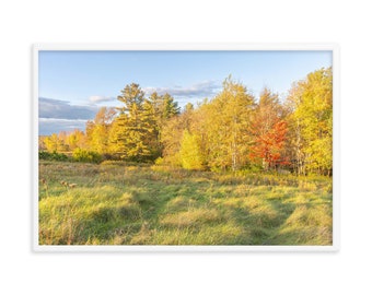 Autumn Meadow Landscape Framed Poster - New England Foliage Photo Print, Fine Art Nature Decor Late Day Sunlight Meadow Landscape Print