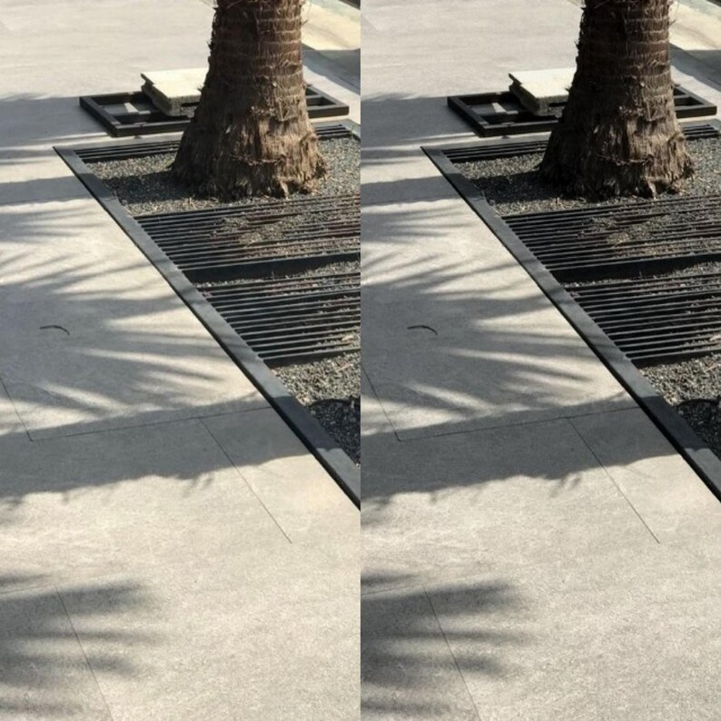 May include: A close-up of a palm tree trunk with a black metal grate surrounding it. The grate is set into a concrete walkway with a light gray surface. The tree trunk is brown and has a rough texture. The grate is made of thin metal bars that are spaced evenly apart. The walkway is clean and free of debris.