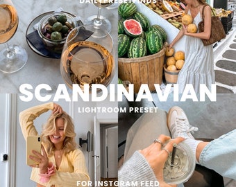 Scandinavian Aesthetic Preset Lightroom Preset Mobile Preset  Bright Natural Blogger Filter Trendy Instagram Preset Clean Summer Preset
