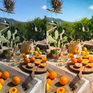 May include: A rustic outdoor table setting with a variety of citrus fruits, including lemons and oranges, arranged on a wooden cutting board. The table is made of concrete and has a sink. The background features a lush green landscape with cacti and a blue sky.