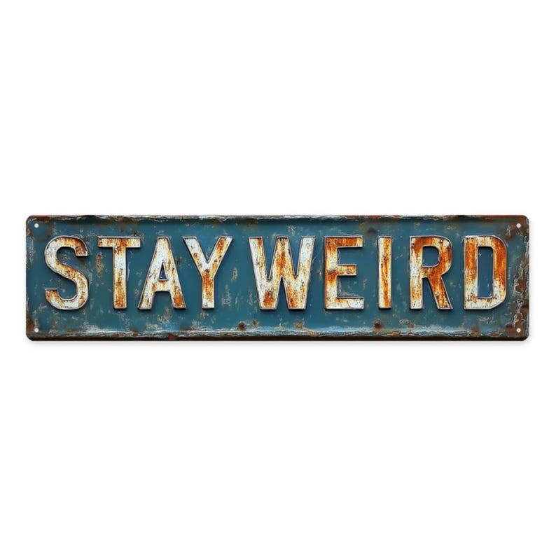 Street Sign Retro Funny Wall Decor Metal Tin Signs 16x4 Inches - Etsy