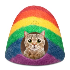 以下が含まれることがあります： 虹色のフェルトでできたドーム型の猫用ベッド。猫がベッドの入り口から顔を出しています。