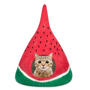 以下が含まれることがあります： 赤い緑のスイカの形をした猫用ベッドで、猫が穴から顔を出しています。猫用ベッドはフェルト製で、縁に白いストライプがあります。