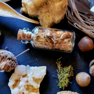 Op de afbeelding: Een klein glazen flesje met een kurkstop, gevuld met gedroogde, doorschijnende, lichtbruine, zaadachtige stukjes. Het flesje ligt op een donkerblauw oppervlak met andere natuurlijke objecten, waaronder een stuk wit kristal, een bruine eikel en een bosje groen mos.