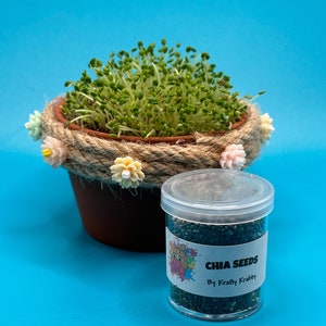 Krabby Garden: Edible Chia Gardens for Hermit Crabs