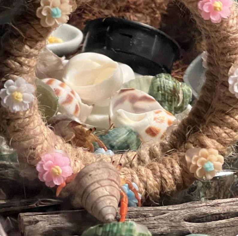 Pu&ograve; includere: Una cornice circolare realizzata in corda spessa e intrecciata color marrone chiaro, decorata con piccoli fiori di plastica colorati nelle tonalit&agrave; del rosa, bianco e pesca. All'interno della cornice ci sono diversi paguri con conchiglie.