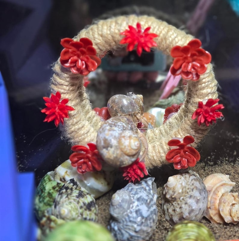Pu&ograve; includere: Un anello circolare avvolto in corda di juta color marrone chiaro, decorato con piccoli ornamenti in plastica rossa a forma di piante grasse e fiori. L'anello &egrave; posizionato verticalmente, circondando parzialmente una conchiglia marrone.