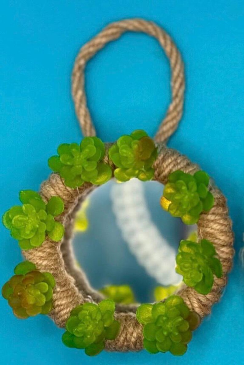 Pu&ograve; includere: Uno specchio circolare incorniciato con una spessa corda intrecciata color marrone chiaro. La cornice &egrave; decorata con diverse piccole piante succulente artificiali verde brillante disposte lungo il perimetro. Un cappio di corda abbinato &egrave; fissato in alto.