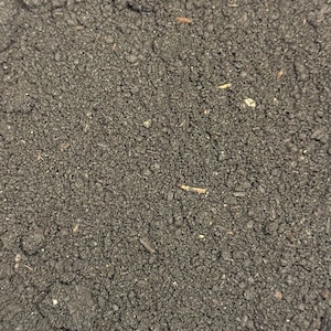 Organic Worm Castings: Nutrient-Dense Food for Healthy Hermit Crabs