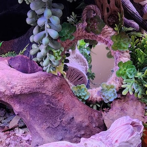 Pu&ograve; includere: Uno specchio circolare incorniciato con una spessa corda intrecciata color naturale, decorato con varie piante succulente artificiali verdi. Lo specchio &egrave; posizionato dietro un grande pezzo di legno galleggiante marrone testurizzato e una conchiglia chiara.