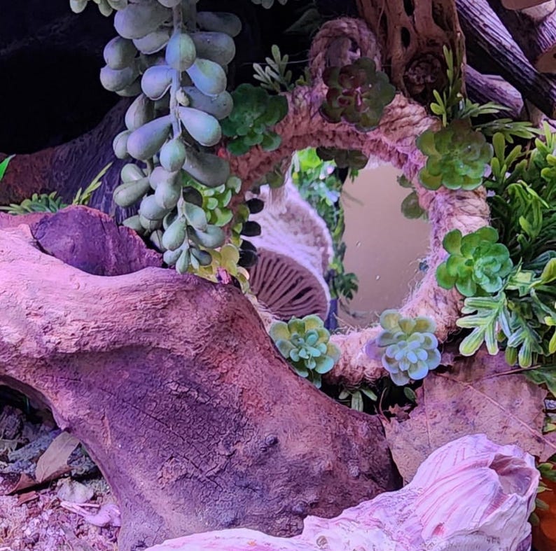 Pu&ograve; includere: Uno specchio circolare incorniciato con una spessa corda intrecciata color naturale, decorato con varie piante succulente artificiali verdi. Lo specchio &egrave; posizionato dietro un grande pezzo di legno galleggiante marrone testurizzato e una conchiglia chiara.