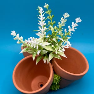 Fab Forager – Terracotta Foraging Pots for Hermit Crabs