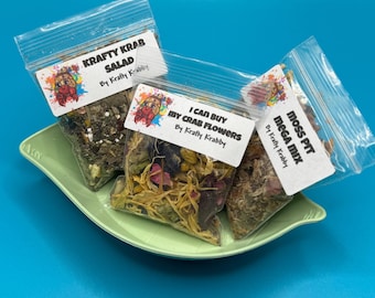 Hermit Crab Foraging Sampler Bundle