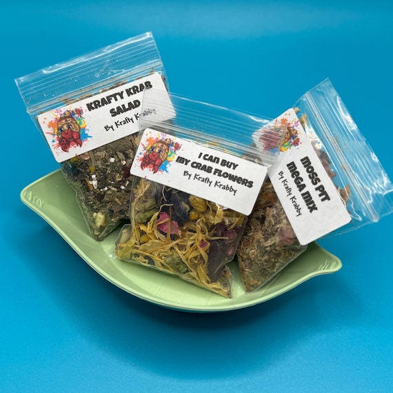 Hermit Crab Foraging Sampler Bundle