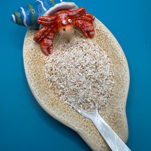 Crab and Lobster Shell Mix – Natural Calcium Source for Hermit Crabs