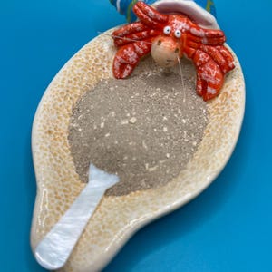Bone Meal – Calcium Source for Hermit Crabs